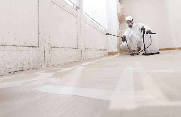 24/7 Emergency Crawl Space Mold Removal experts in Monmouth Junction, NJ