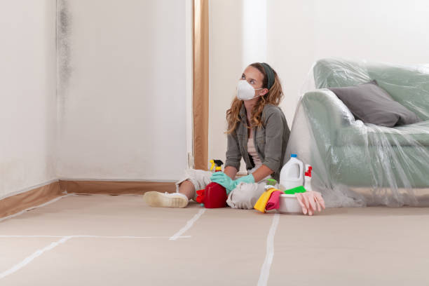 Reliable Crawl Space Mold Removal contractor in Monmouth Junction, NJ by WQB Mold Removal